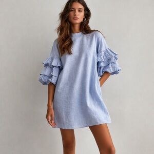 Zara Chambray Ruffle Sleeve Shift Dress